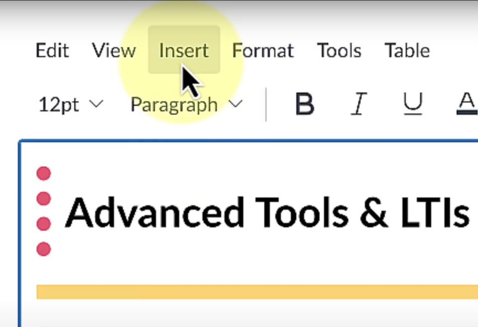 selecting insert in canvas lms
