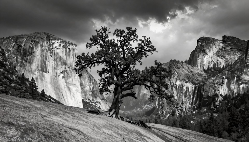 Ansel Adams Landscape Homage