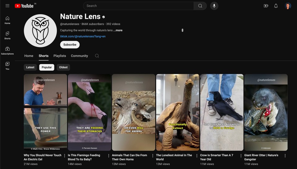 Snapshot of Natural Lens YouTube channel