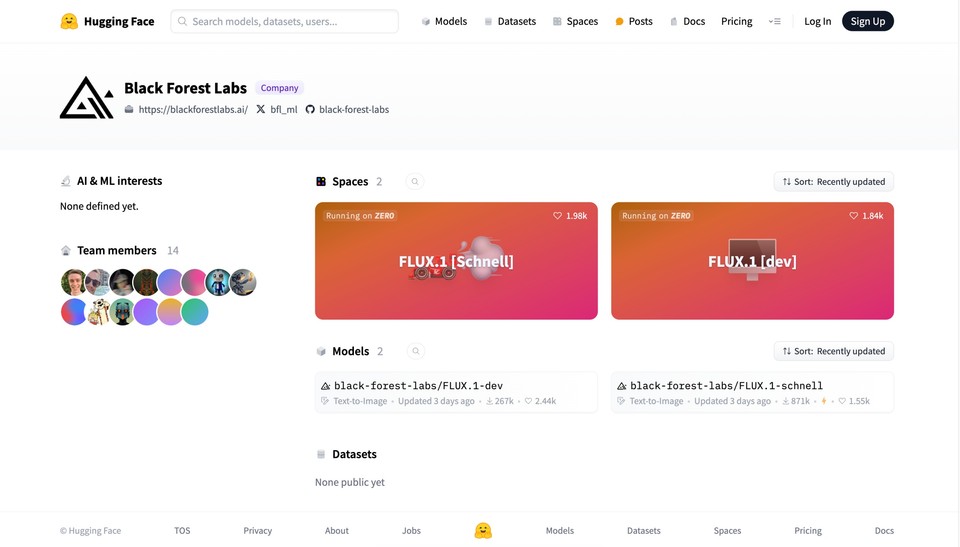 Screenshot of Black Forest Labs on Hugging Face