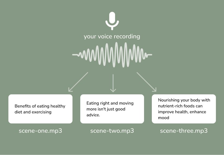 Visual representation of the voice cloning output with labeled audio segments